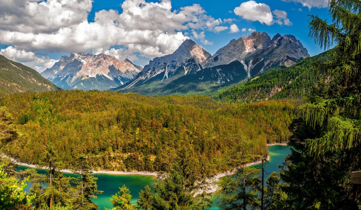 Alpine landscape